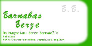 barnabas berze business card